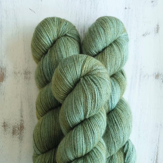 Eucalypt